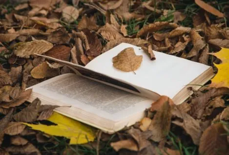 Otoño literario: los mejores libros para tu crecimiento personal