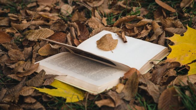 Otoño literario: los mejores libros para tu crecimiento personal