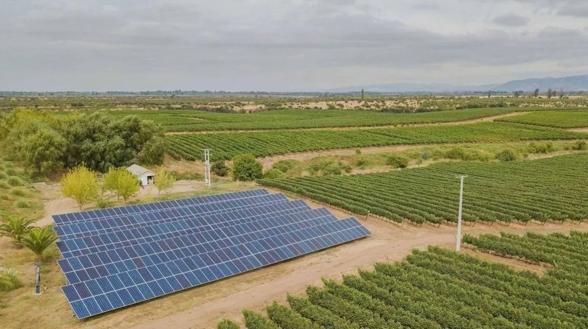 Los paneles solares: un aliado inesperado para la producción de vinos de alta calidad