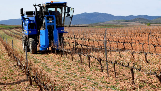 Viñedos, olivares y bosques como fuente de energía renovable en España