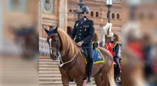 La lucha de un sindicato para salvar a Pomo, el 'caballo policía' al que quieren sacrificar