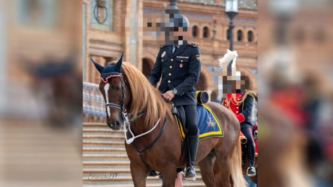 La lucha de un sindicato para salvar a Pomo, el 'caballo policía' al que quieren sacrificar