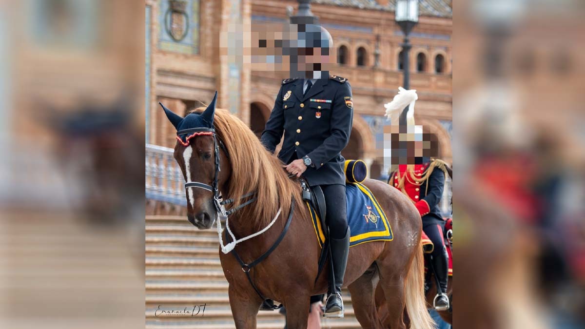 La lucha de un sindicato para salvar a Pomo, el ‘caballo policía’ al que quieren sacrificar