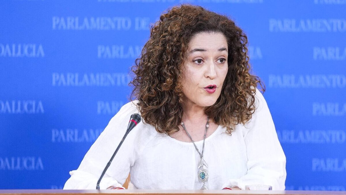 Por Andalucía replica a Moreno que «la Junta tiene dinero por castigo» para servicios sociales