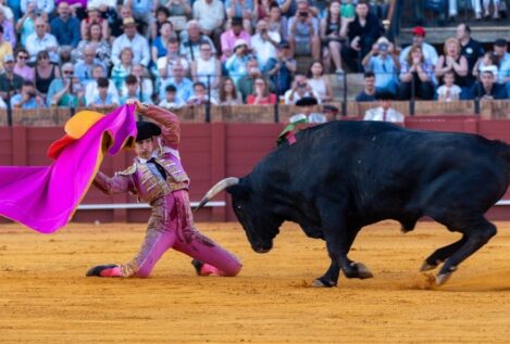 El BOE publica la orden de Cultura que suprime el Premio Nacional de Tauromaquia