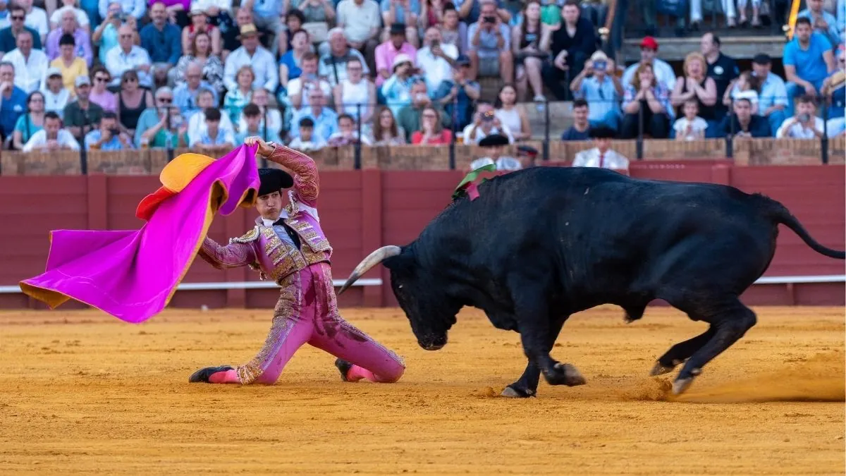 El BOE publica la orden de Cultura que suprime el Premio Nacional de Tauromaquia