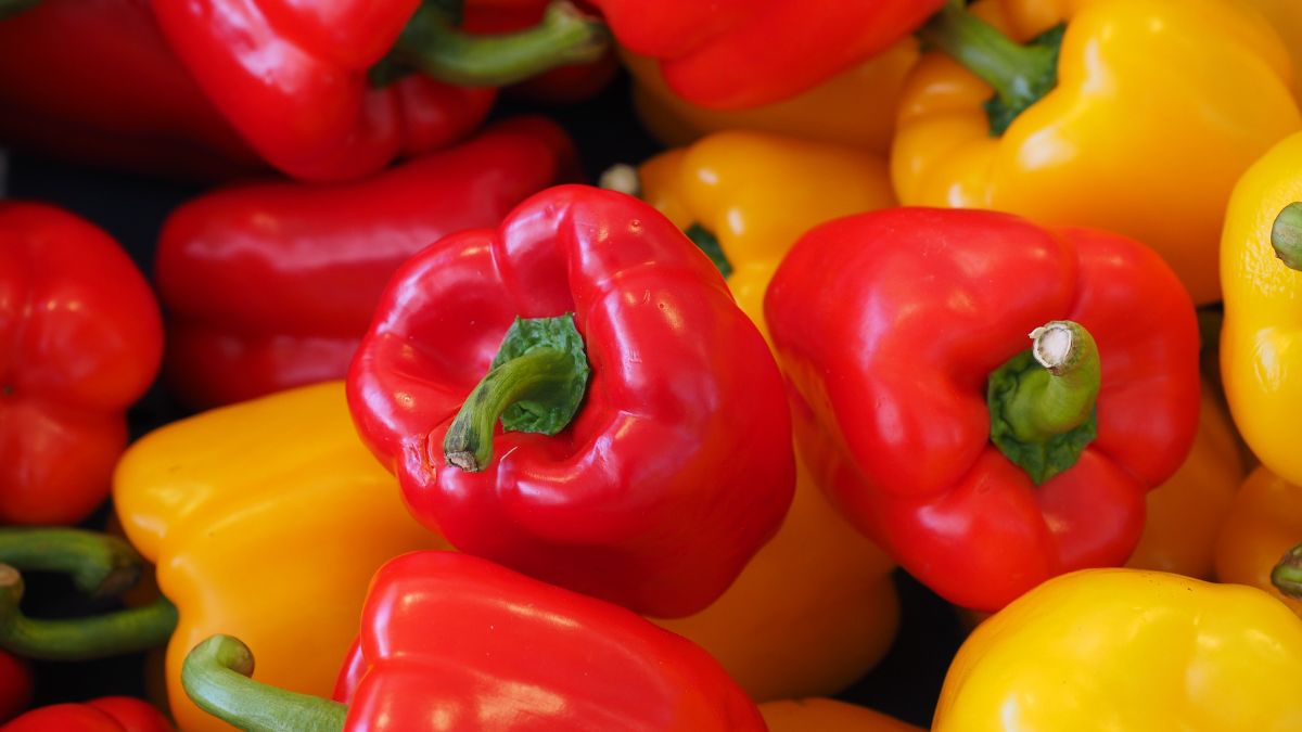 ¿Cuáles son las propiedades del pimiento?