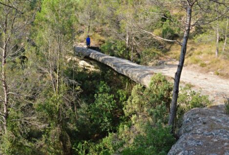 El puente de piedra desconocido que enamora a Barcelona