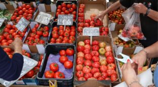 El nuevo acuerdo con Marruecos enfada a los agricultores: «Almería no producirá tomates»