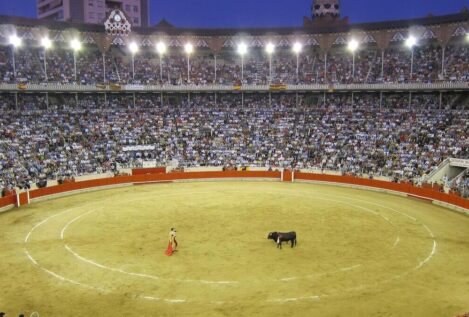 Més pide paralizar la reforma de la ley que dará acceso a niños a corridas de toros en Baleares