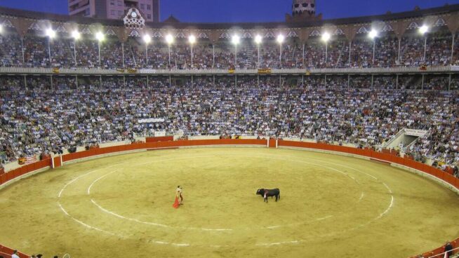 Més pide paralizar la reforma de la ley que dará acceso a niños a corridas de toros en Baleares