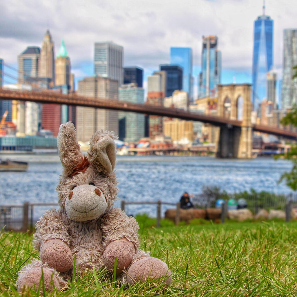 El 'burrito' de peluche, Hilde, en Nueva York