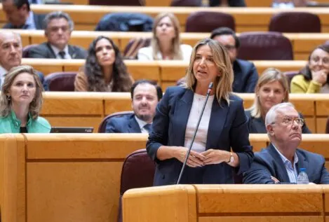 Bolaños, al PP, sobre la rebaja de condenas a ETA: «Sus problemas, los solucionan solitos»