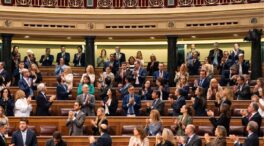 El Congreso aprueba por unanimidad la ley ELA