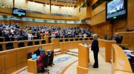 El Senado rechaza la ley que rebaja las penas a etarras y la devuelve al Congreso