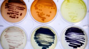 Colorifix posiciona los tintes biológicos como el futuro de la moda sostenible