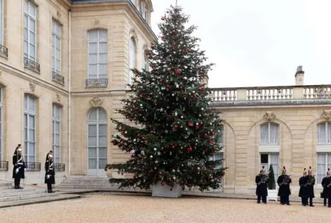 España se despide del árbol de Navidad tradicional, la alternativa que está de moda