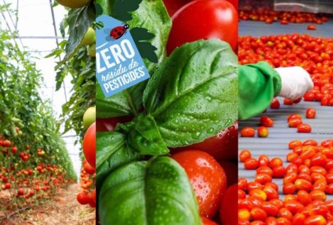 Azura se consolida en el ‘top 10’ de proveedores de fruta y verdura de Francia