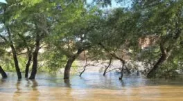 Alertan de que los cauces en Tarragona, Teruel y Castellón podrían crecer de forma «súbita»