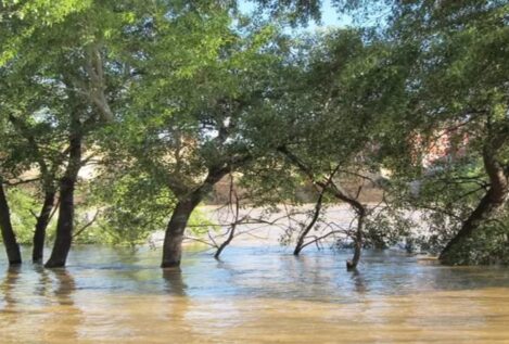 Alertan de que los cauces en Tarragona, Teruel y Castellón podrían crecer de forma «súbita»