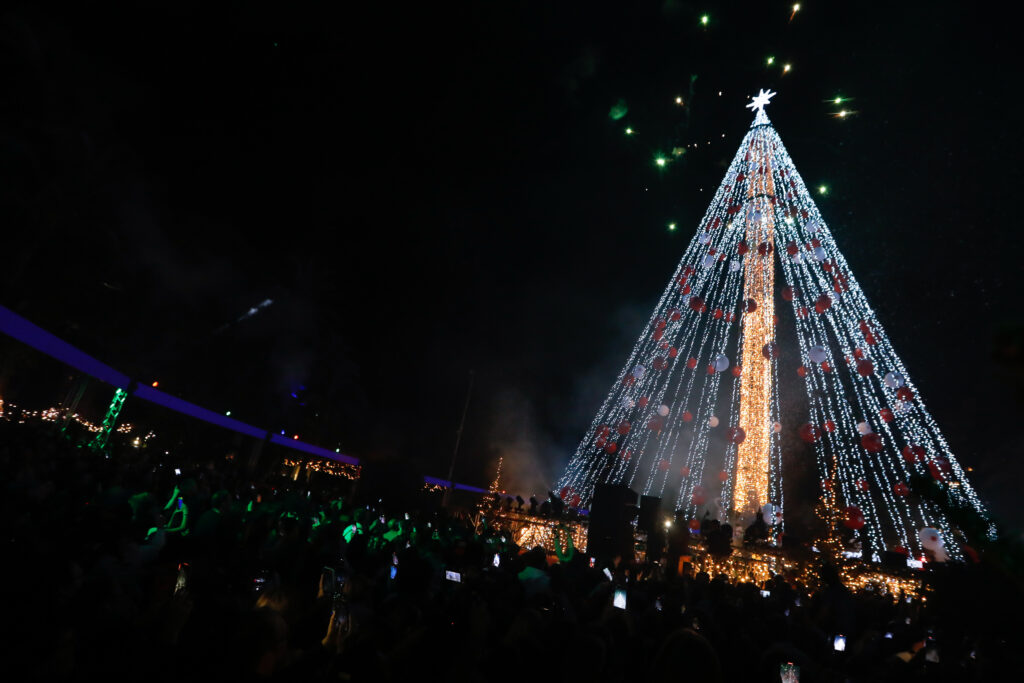  Árbol de Navidad: Edu Botella (Europa Press)