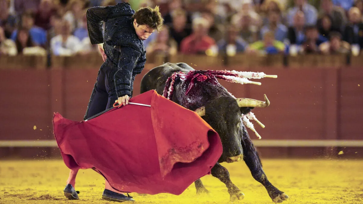 El torero Roca Rey, hospitalizado por una herida grave tras una aparatosa cogida en Las Ventas