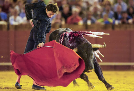 El torero Roca Rey, hospitalizado por una herida grave tras una aparatosa cogida en Las Ventas