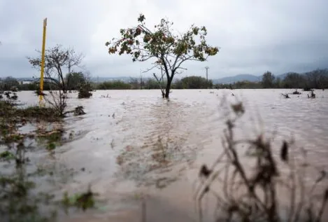 El temporal obliga a interrumpir la línea de AVE que une Madrid y Valencia