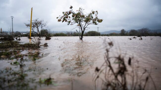 El temporal obliga a interrumpir la línea de AVE que une Madrid y Valencia