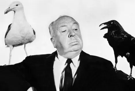 ¿Por qué atacan los pájaros de Hitchcock?