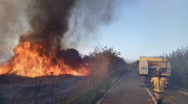 Los bomberos logran estabilizar el incendio que ha arrasado más de 100 hectáreas en Mallorca