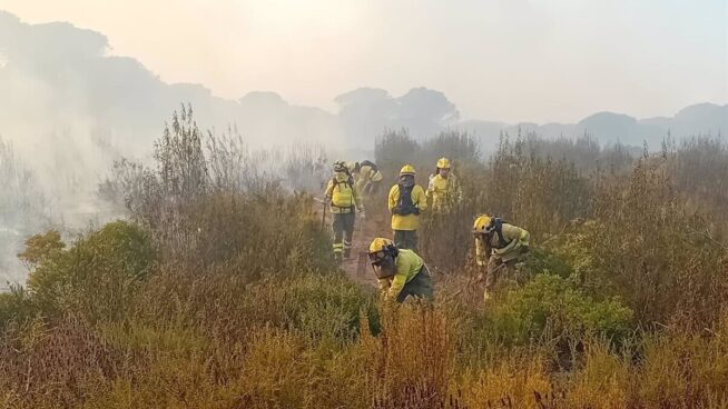 El Infoca da por extinguido el incendio forestal declarado el viernes en Moguer (Huelva)