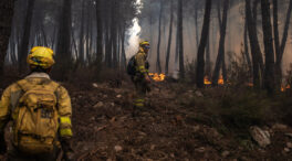 Castilla y León y Extremadura colaboran en la prevención y extinción de incendios forestales