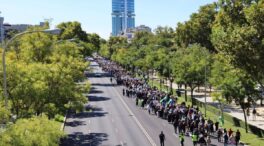 La manifestación para pedir una «pasarela» al RETA no reune a la mayoría de profesionales