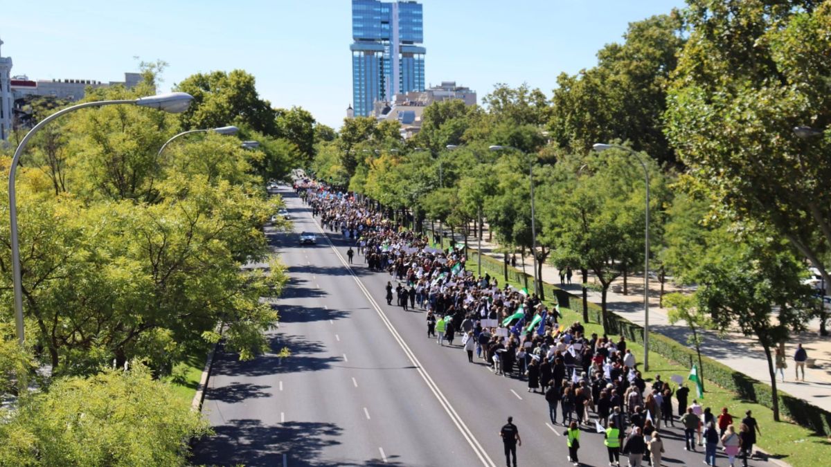 La manifestación para pedir una «pasarela» al RETA no reune a la mayoría de profesionales