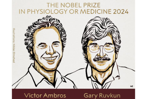 Victor Ambros y Gary Ruvkun, Nobel de Medicina por su descubrimiento del microARN