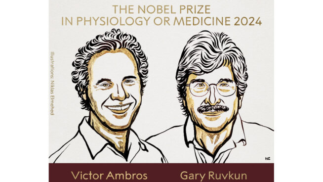 Victor Ambros y Gary Ruvkun, Nobel de Medicina por su descubrimiento del microARN