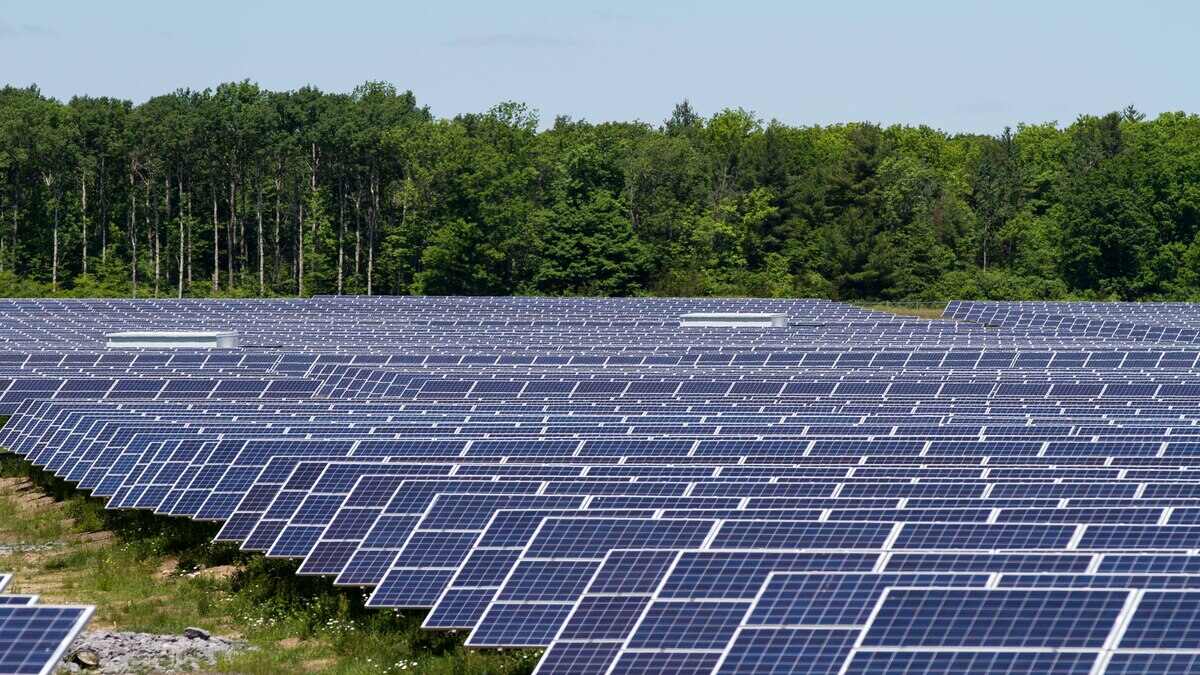 Un estudio demuestra que las plantas fotovoltaicas triplican la abundancia de insectos