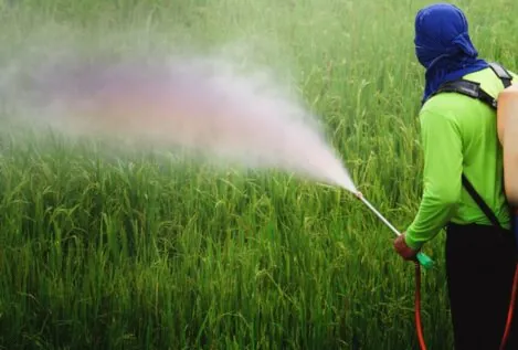 Uno de los pesticidas más usados en la UE es altamente perjudicial para la biodiversidad