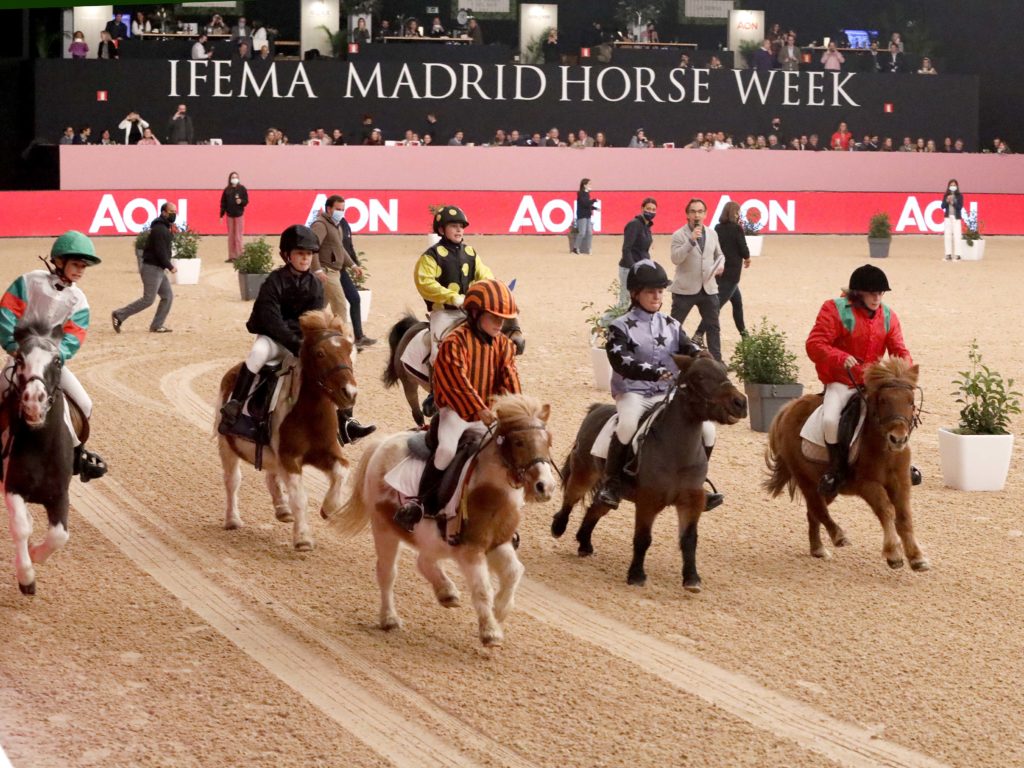 Una de las competiciones de la  IFEMA Madrid Horse Week (IMHW):  Comunidad de Madrid