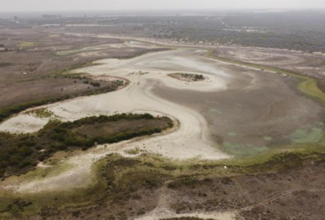 La sequía azota a Doñana: la laguna más grande se vuelve a secar por tercer año consecutivo