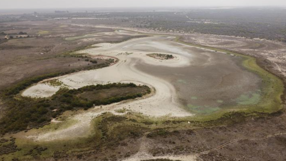 La sequía azota a Doñana: la laguna más grande se vuelve a secar por tercer año consecutivo