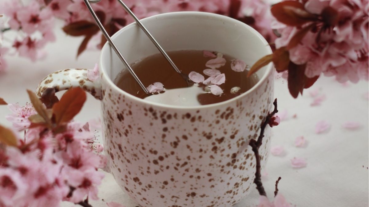 Este es el té que te ayudará a dormir mejor: no es ni la tila, ni la manzanilla