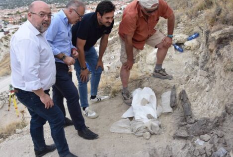 Hallan en Baza (Granada) los restos del último cocodrilo europeo: tienen 4,5 millones de años