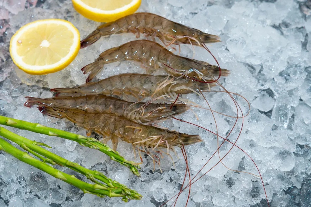 Gambas congeladas: (Unsplash)