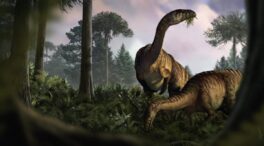 Excrementos fósiles de dinosaurio dan nuevas pistas sobre por qué llegaron a dominar la Tierra