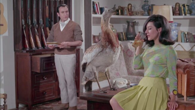 'Pero… ¡en qué país vivimos!': el cine y la cultura popular como crónica de España