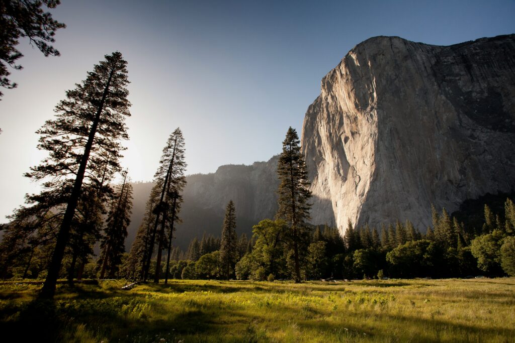 Naturaleza: Adam Kool (Unsplash)