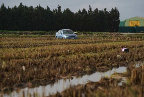 Caixabank estima que la riada ha afectado al 50% de la superficie agraria de Valencia