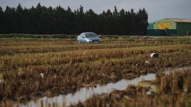 Caixabank estima que la riada ha afectado al 50% de la superficie agraria de Valencia